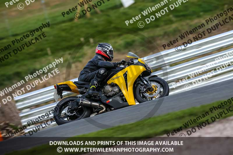 Oulton Park 21st March 2020;PJ Motorsport Photography 2020;anglesey;brands hatch;cadwell park;croft;donington park;enduro digital images;event digital images;eventdigitalimages;mallory;no limits;oulton park;peter wileman photography;racing digital images;silverstone;snetterton;trackday digital images;trackday photos;vmcc banbury run;welsh 2 day enduro